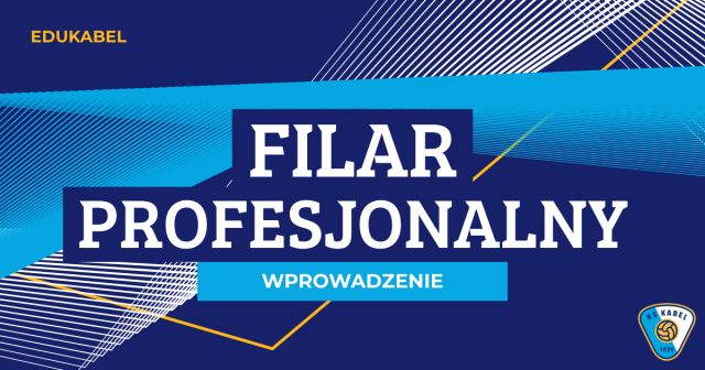 Co to znaczy być profesjonalistą?